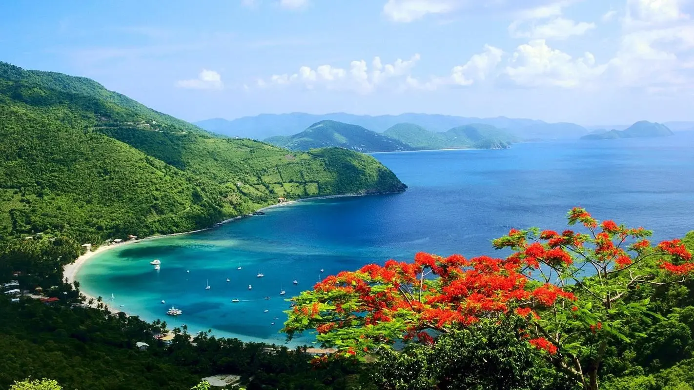 全自动稳定性高标准